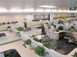 残疾人找工作-传媒公司坐办公-找工作